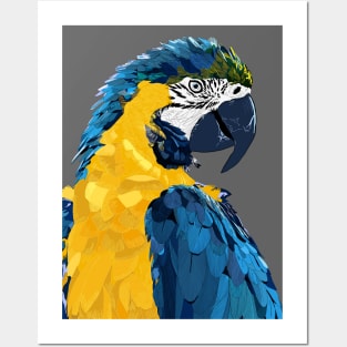 colorful parrot Posters and Art